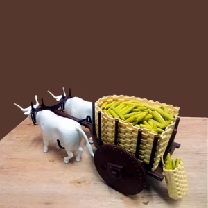 Carro de boi com dois bois e 350 espigas de milho