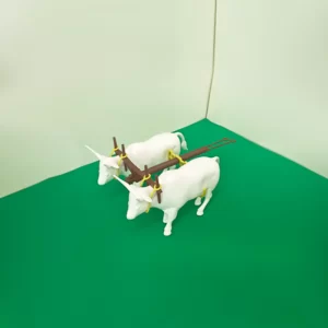 Cambão com dois bois para carro de boi